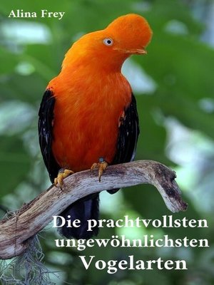 cover image of Die prachvollsten ungewöhnlichsten Vogelarten